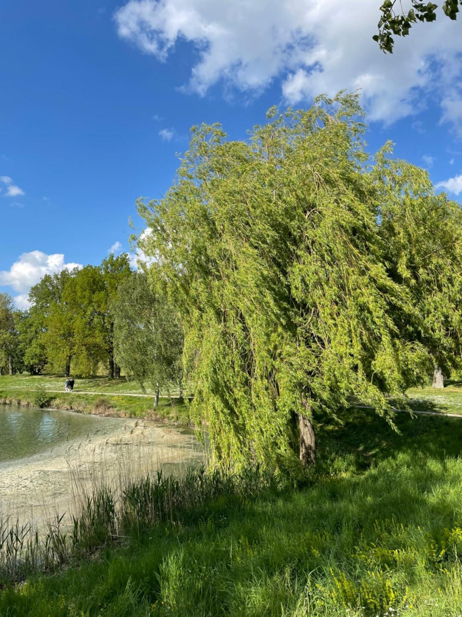 Maison Familiale 8 P En Vallee De Dordogne - Lot Hébergement de vacances