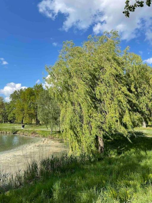 Hébergement de vacances Maison Familiale 8 P En Vallee De Dordogne - Lot *